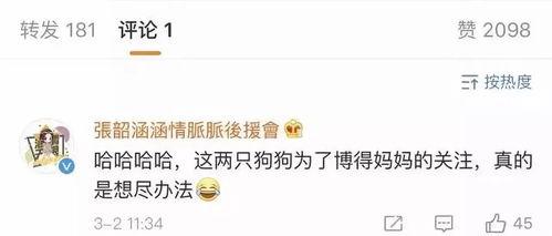 2023年娱乐圈吃瓜合集,盘点年度最热话题与幕后故事